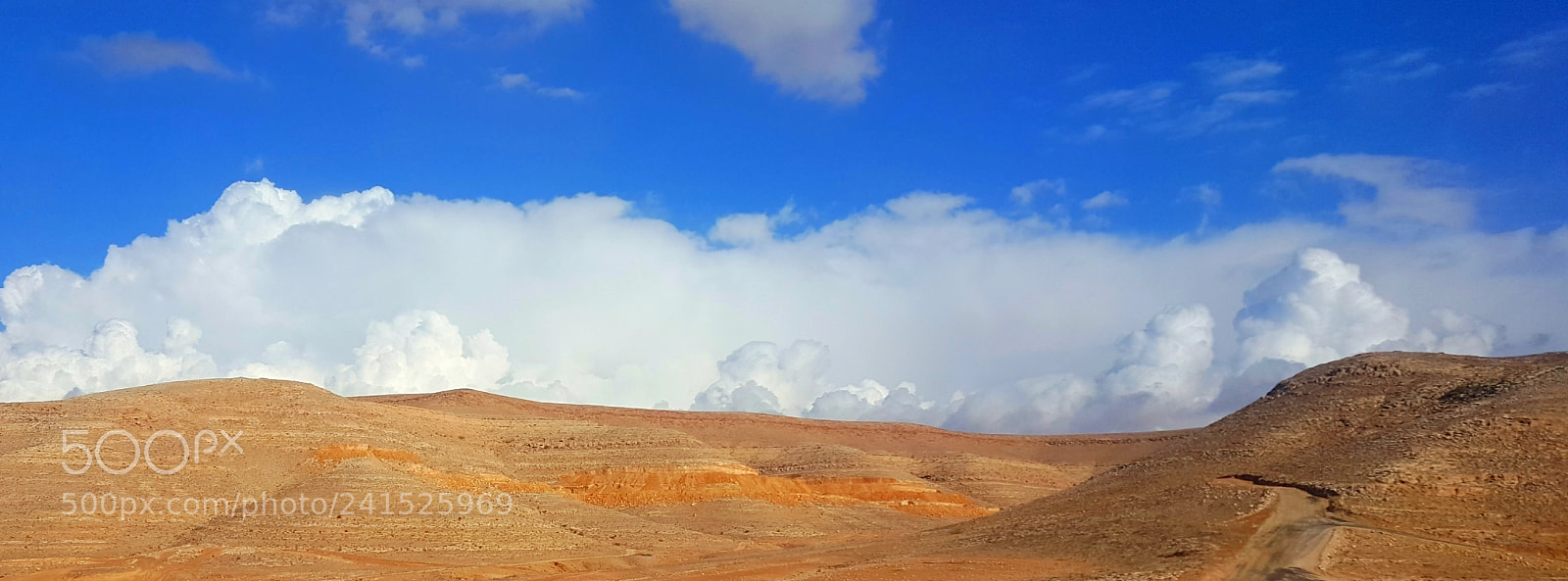 Samsung Galaxy Note5 sample photo. Nature flag photography