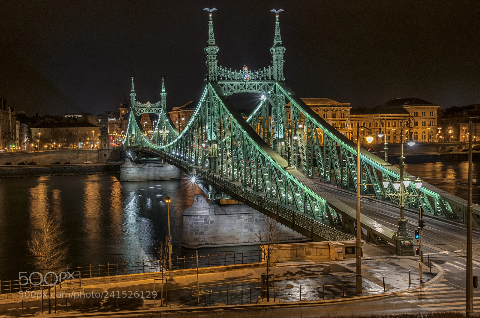 Nikon D5000 sample photo. The liberty bridge of photography