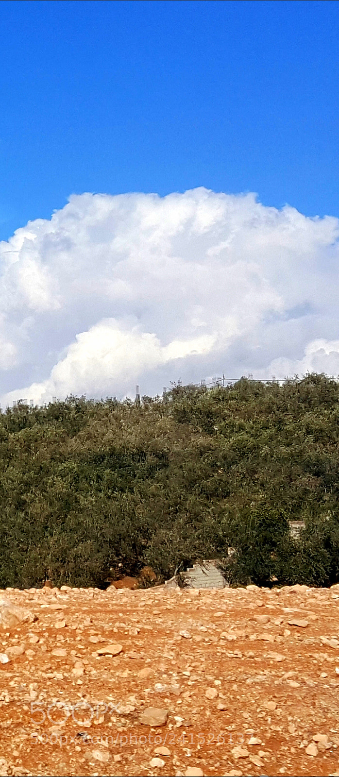 Samsung Galaxy Note5 sample photo. Nature levels photography