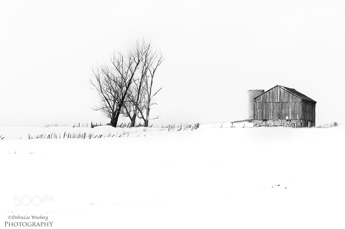 Nikon D700 sample photo. It comes in threes photography