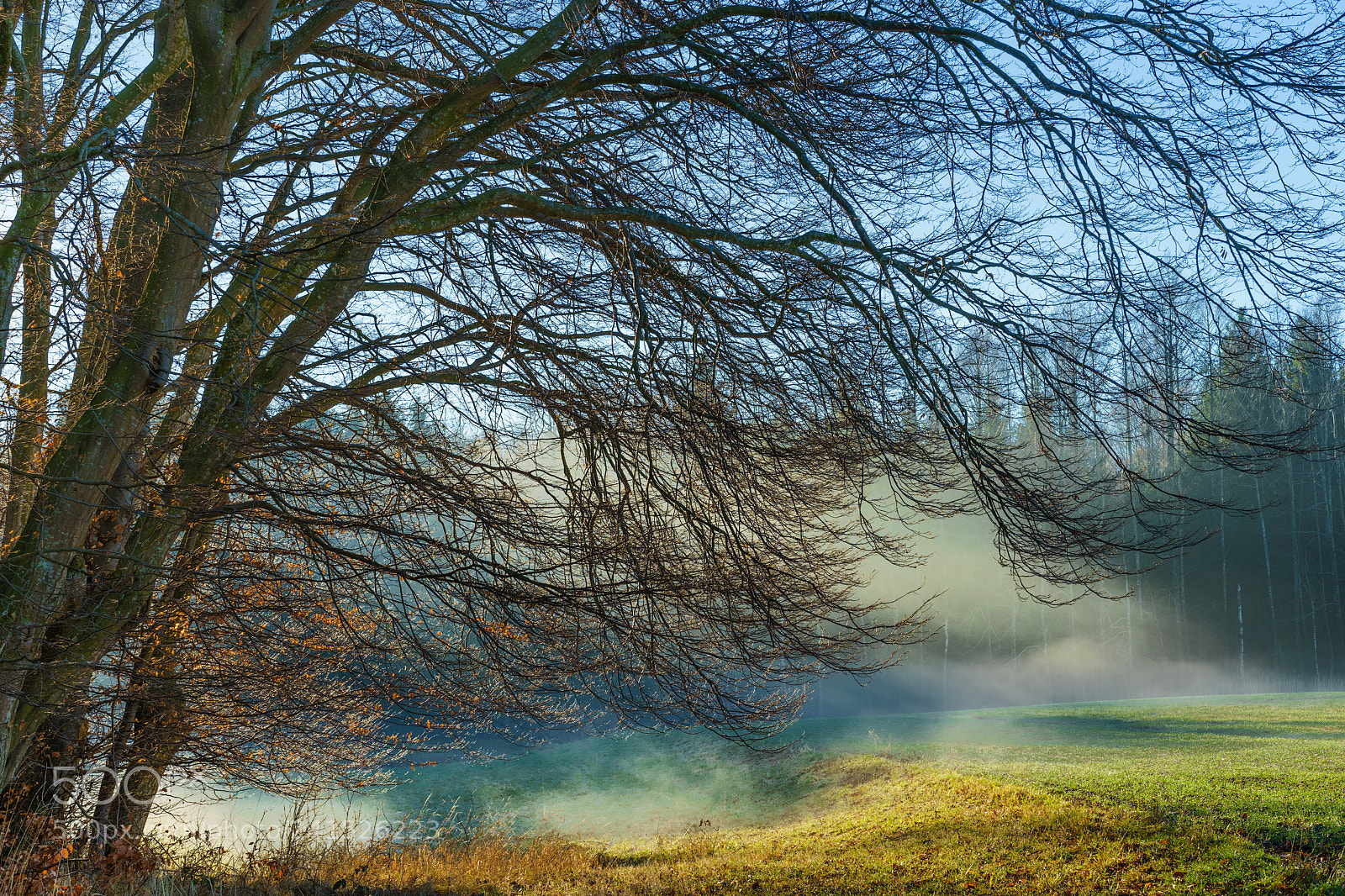 Sony a7 II sample photo. Mist lights photography