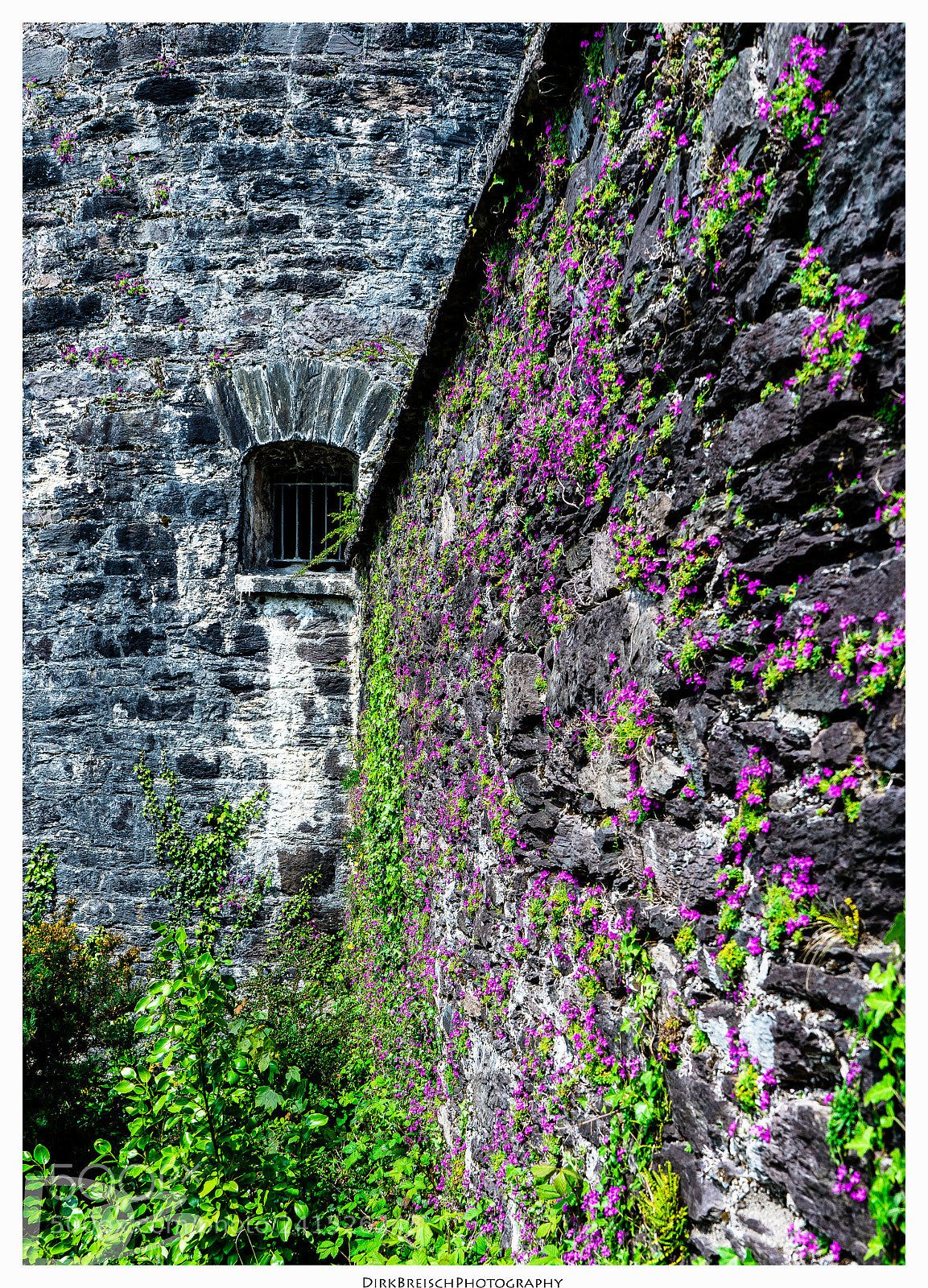 Sony a7 II sample photo. Alte mauern photography