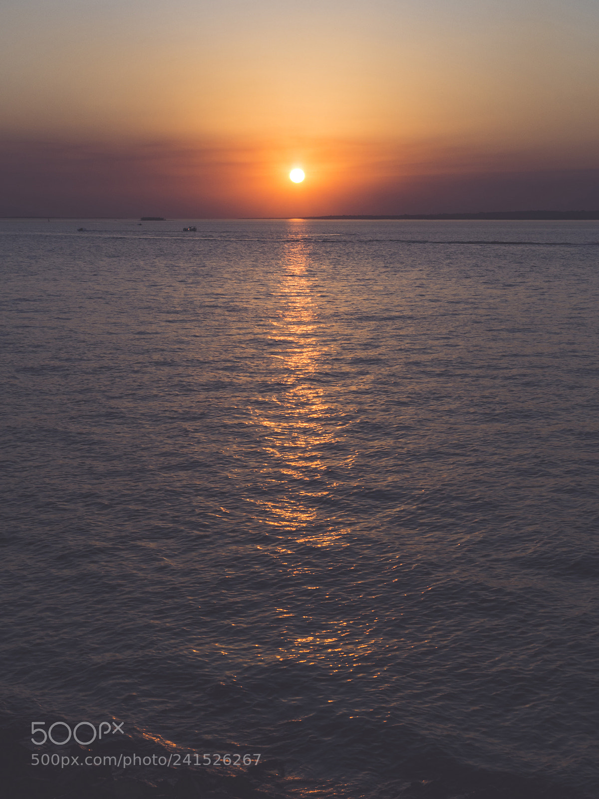Olympus OM-D E-M10 II sample photo. Sunset line. photography