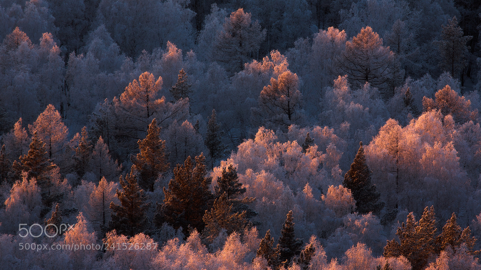 Canon EOS 5D sample photo. Сandles photography