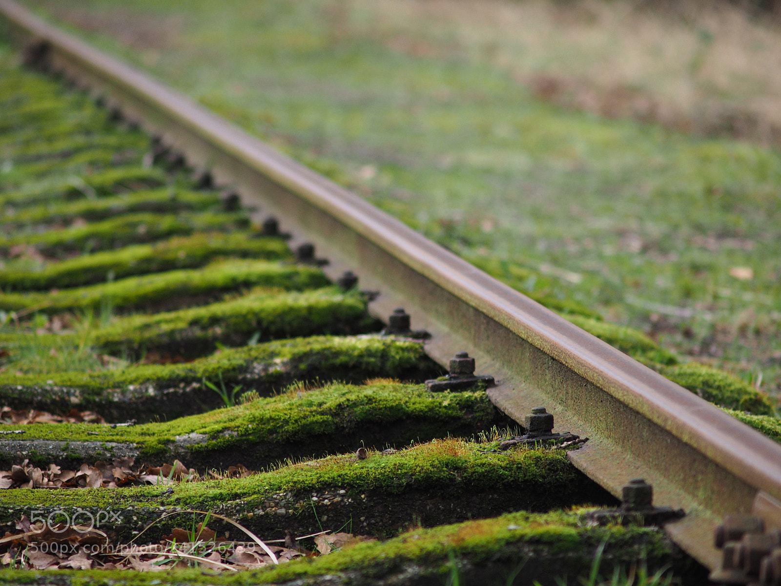 Olympus OM-D E-M1 sample photo. Close-up abandoned railway photography