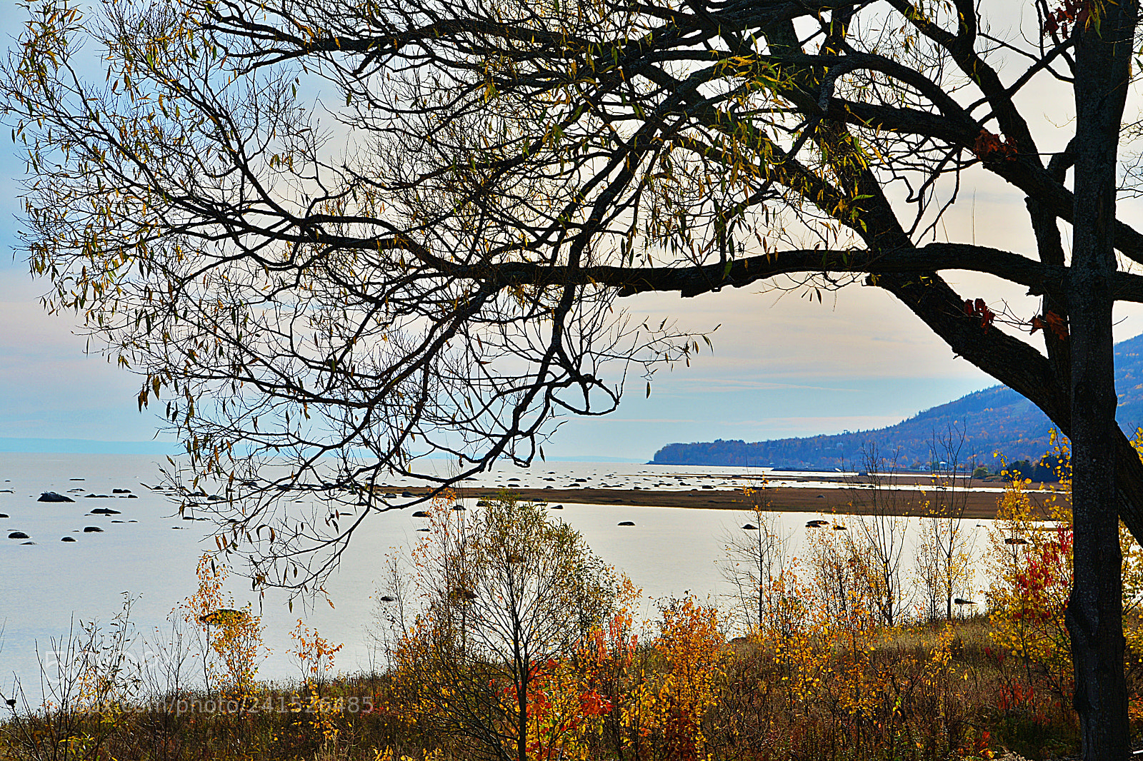 Nikon D7100 sample photo. Apaisant photography