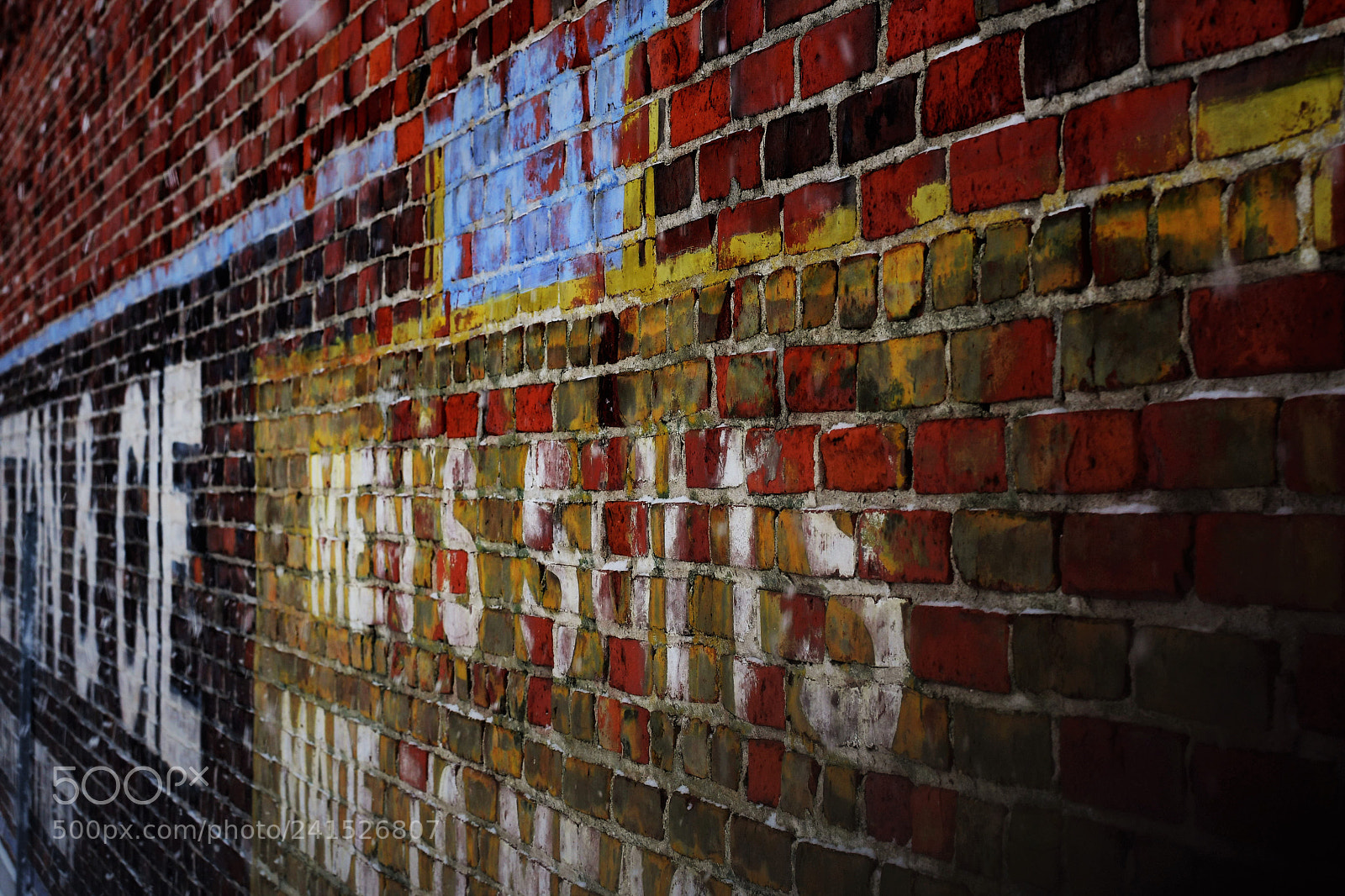 Nikon D500 sample photo. Tribute to ... photography