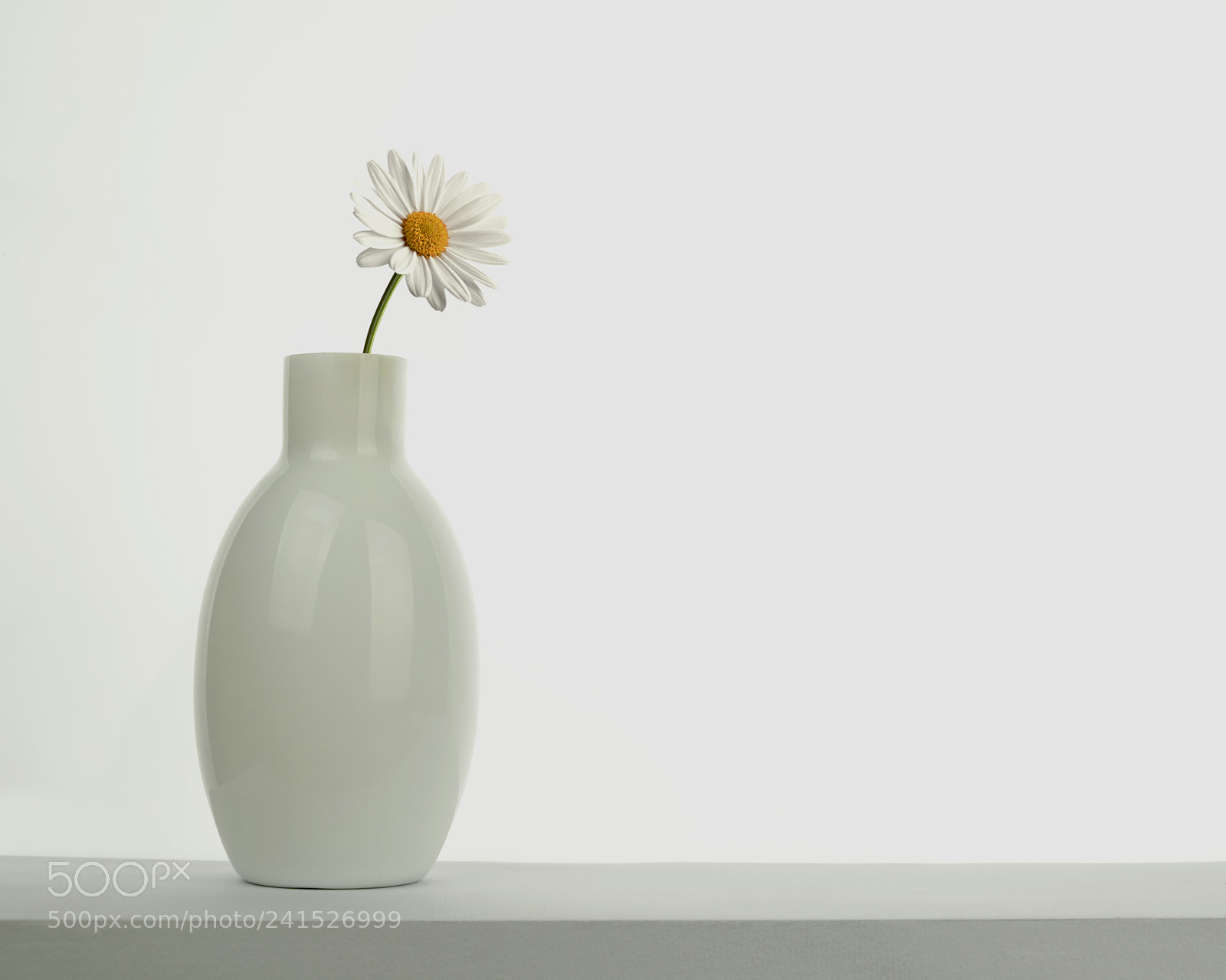 Fujifilm X-T1 sample photo. White yellow daisy photography