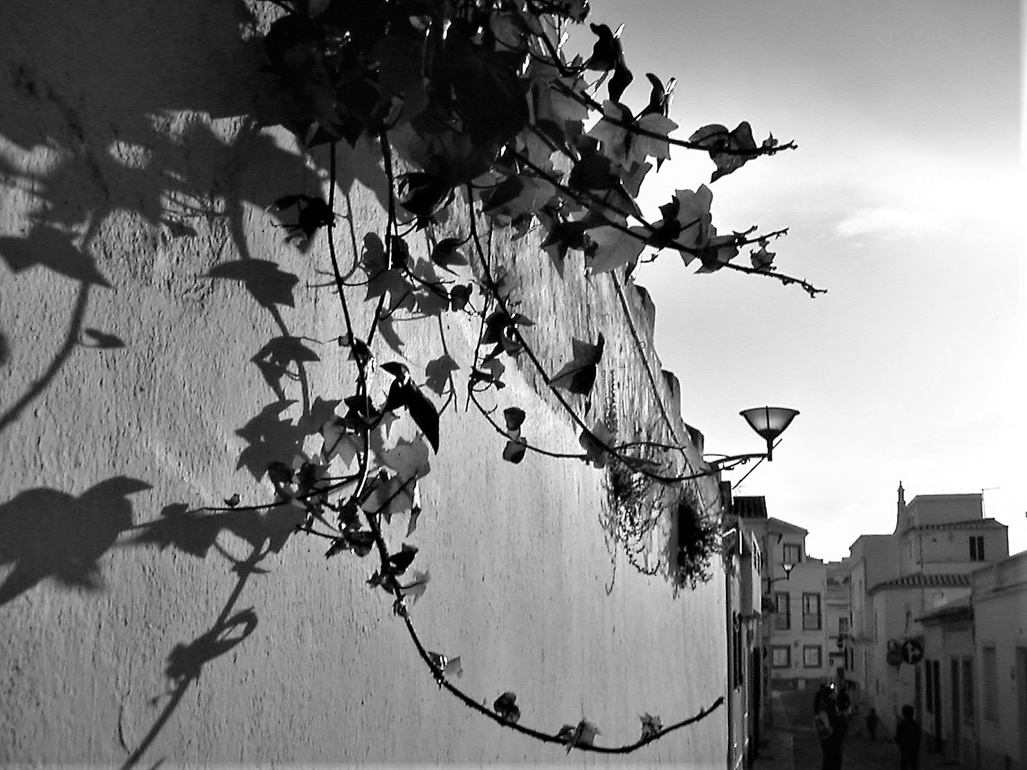 KONICA MINOLTA DiMAGE X sample photo. Lagos -licht photography
