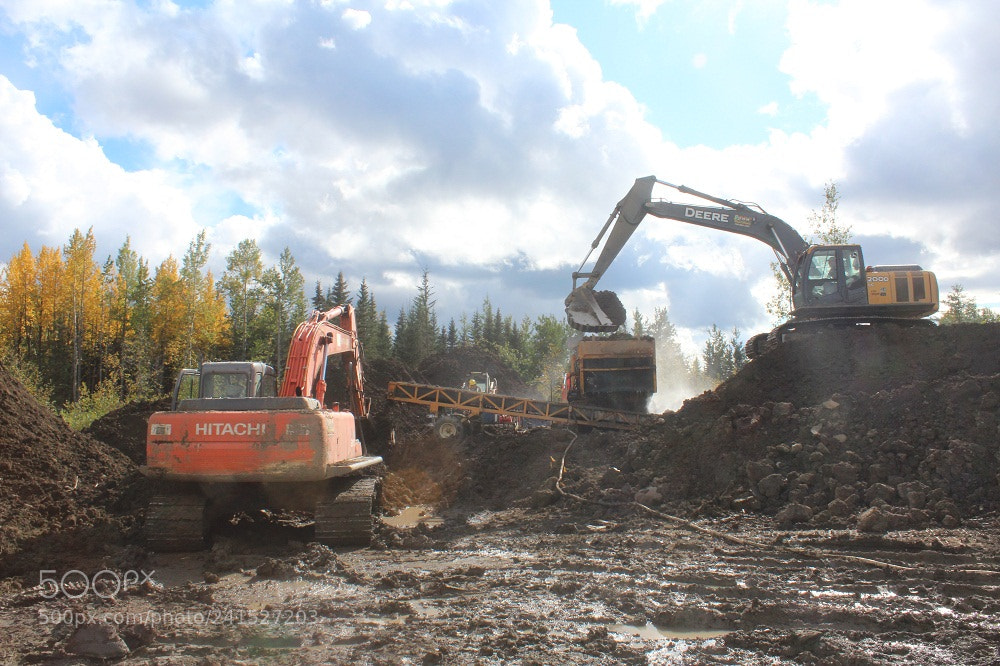 Canon EOS 600D (Rebel EOS T3i / EOS Kiss X5) sample photo. Bioremediation canada photography