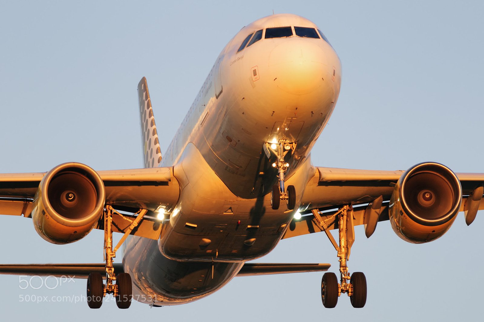 Nikon D300 sample photo. A320 vueling photography