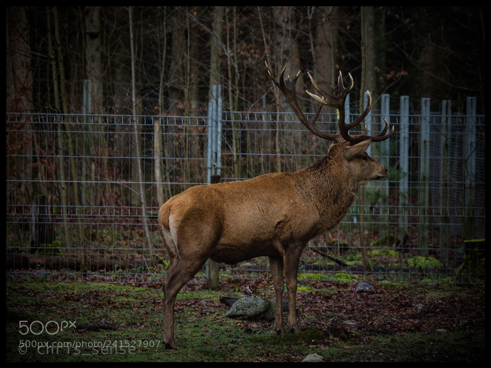 Olympus OM-D E-M5 II sample photo. Untitled photography