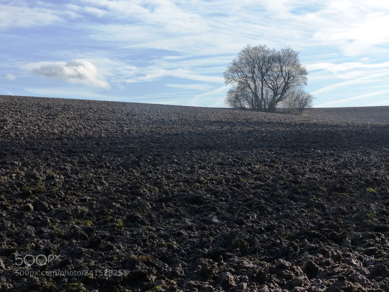 Panasonic Lumix DMC-FZ200 sample photo. January field photography