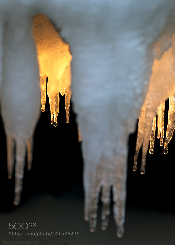 Nikon D300S sample photo. Ice at sunset photography