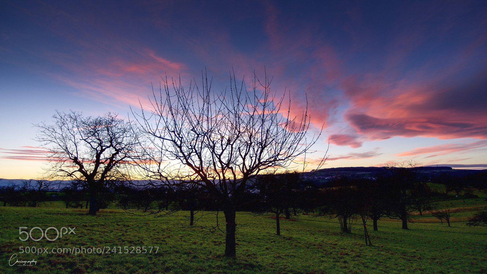 Nikon D7100 sample photo. Sunset on a field photography