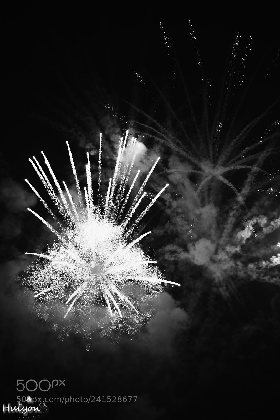 Nikon D700 sample photo. Untitled photography