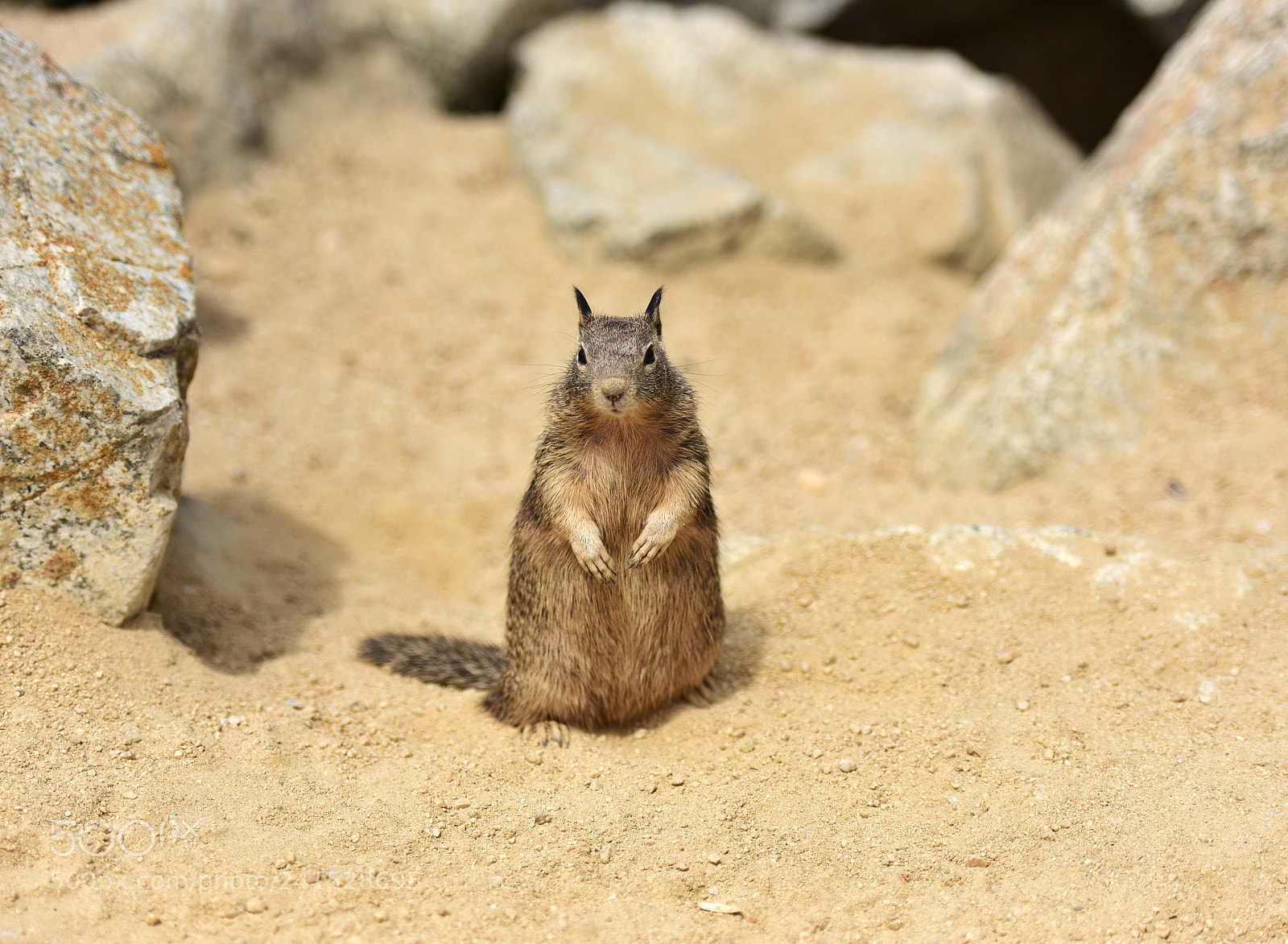 Nikon D810 sample photo. Untitled photography