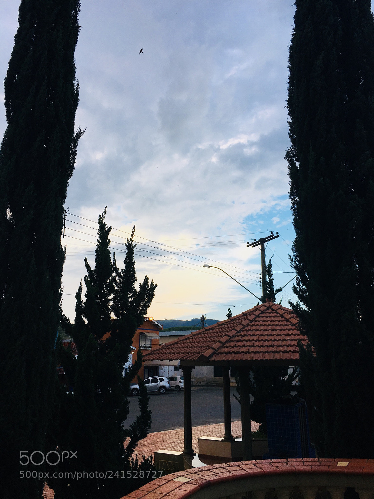 Apple iPhone 6s sample photo. Fbeeeceacbbeebc photography