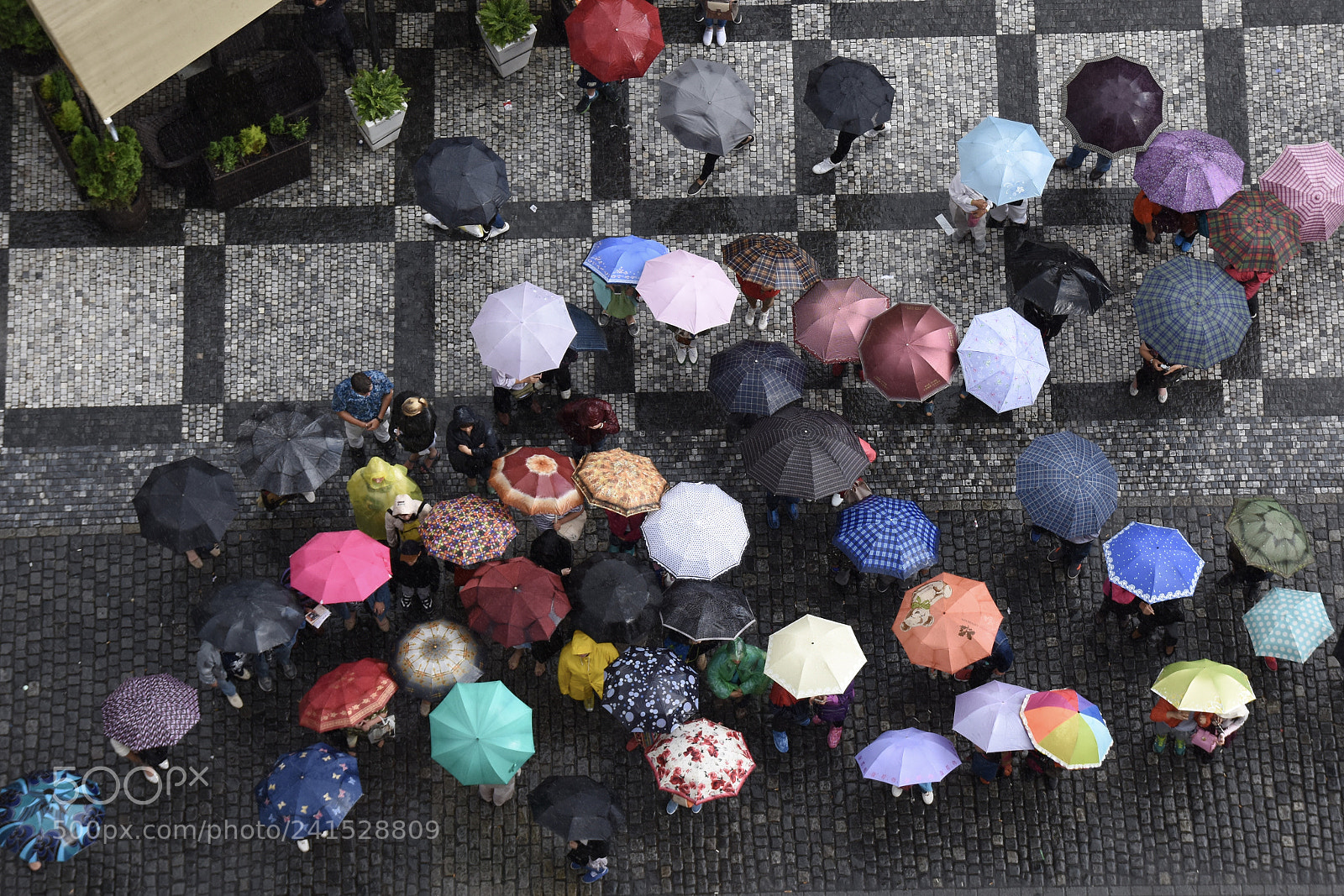 Nikon D7200 sample photo. Umbrellas photography