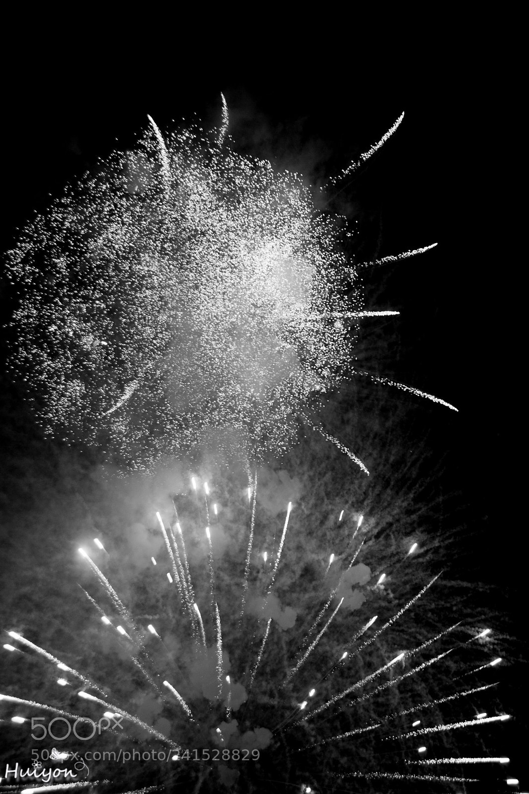 Nikon D700 sample photo. Untitled photography