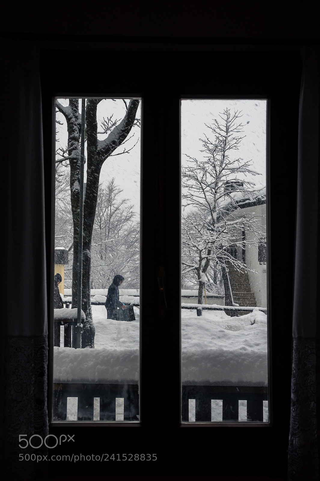 Sony Alpha a3000 sample photo. Fuori nevica photography