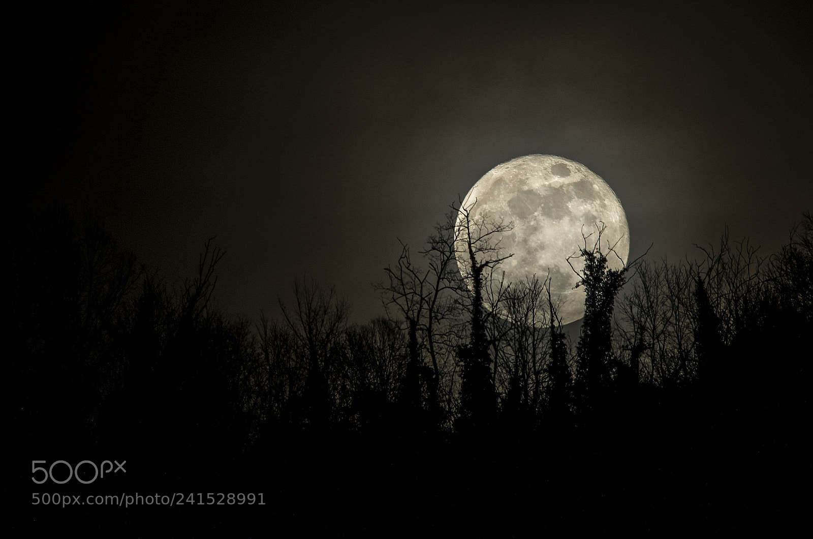 Pentax K-50 sample photo. Supermoon photography