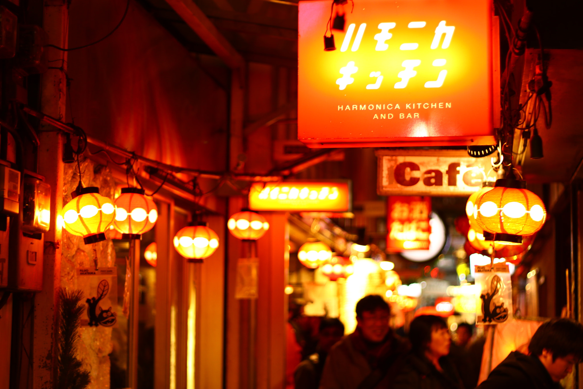 Canon EOS 80D + Canon EF 50mm F1.8 II sample photo