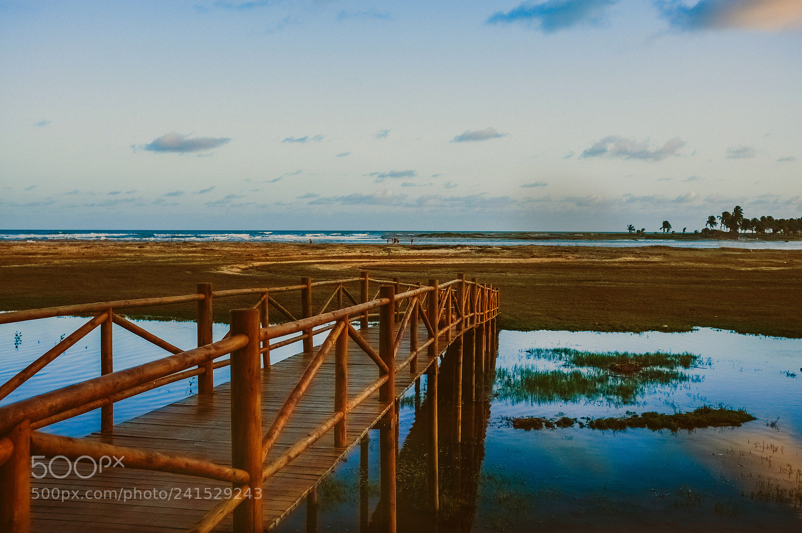 Fujifilm FinePix X100 sample photo. Sergipe/ nordeste/ brasil photography