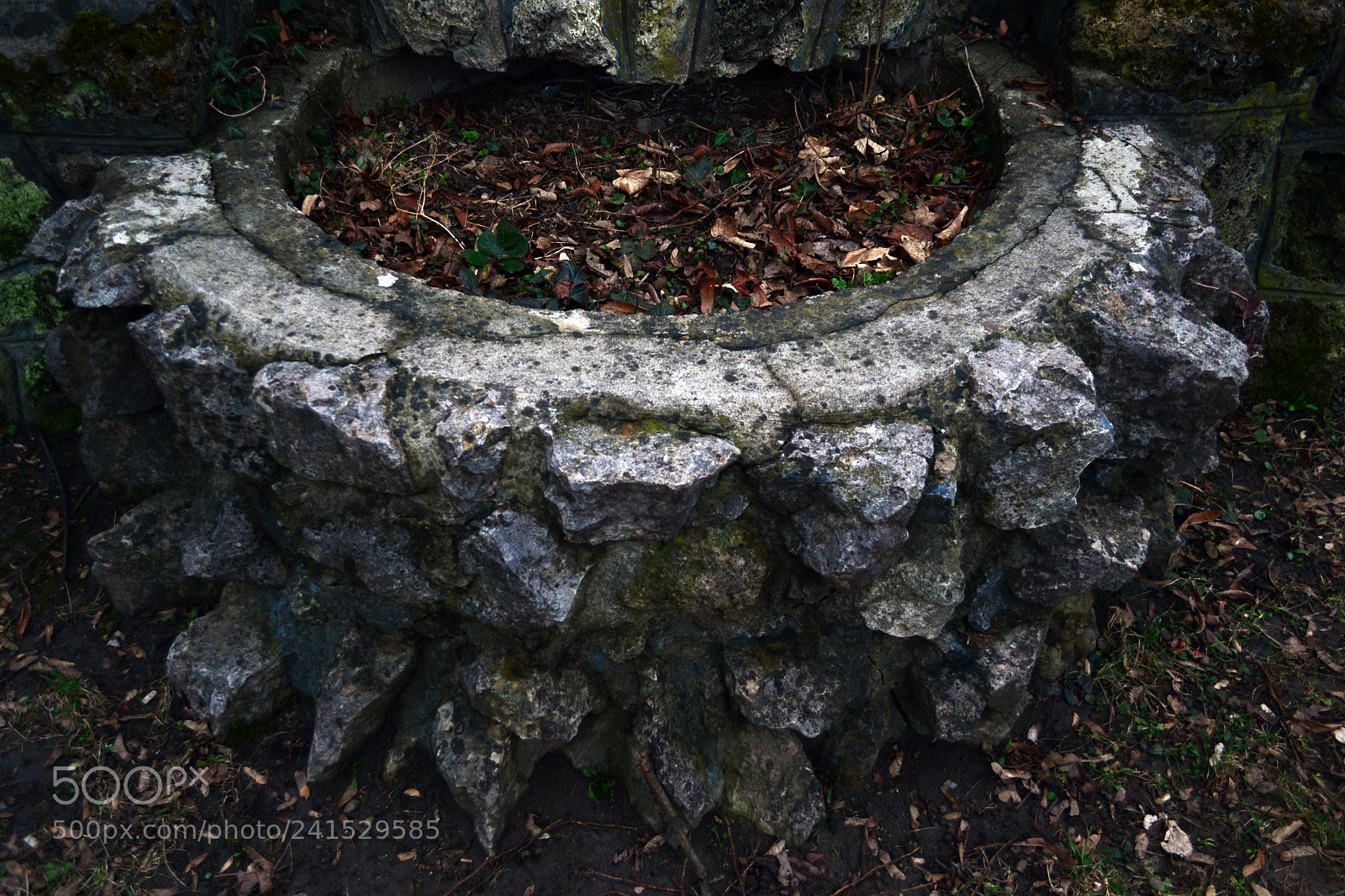 Nikon D3100 sample photo. Circular photography