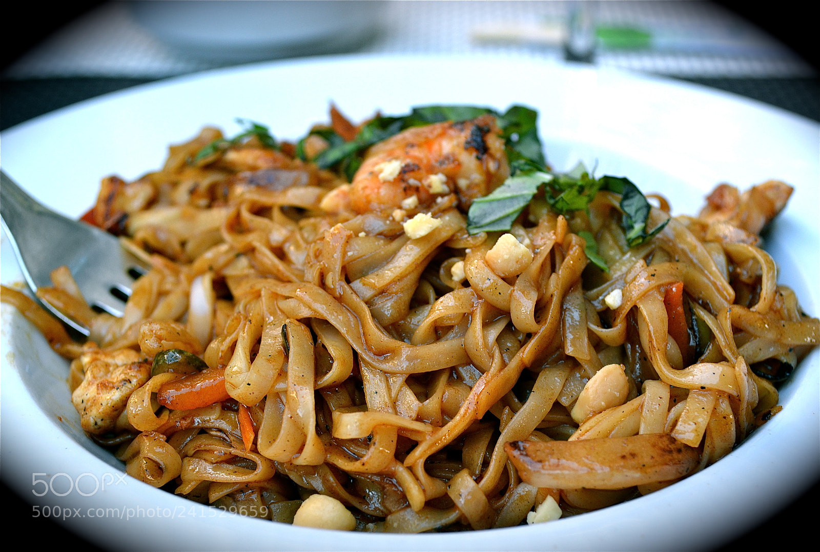 Nikon D3100 sample photo. Savory pad thai dish photography