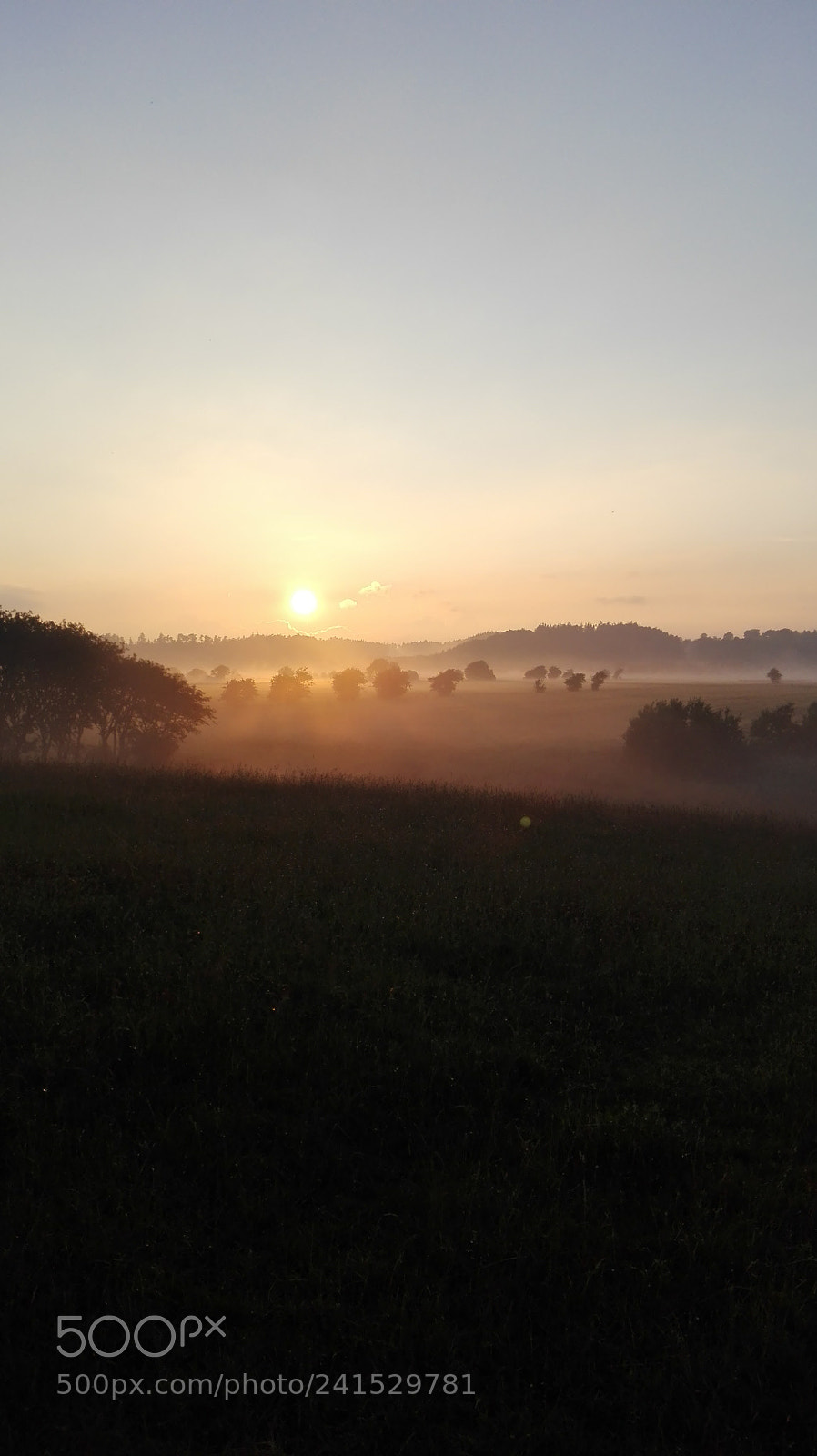 HUAWEI P8 Lite sample photo. Summer solstice photography