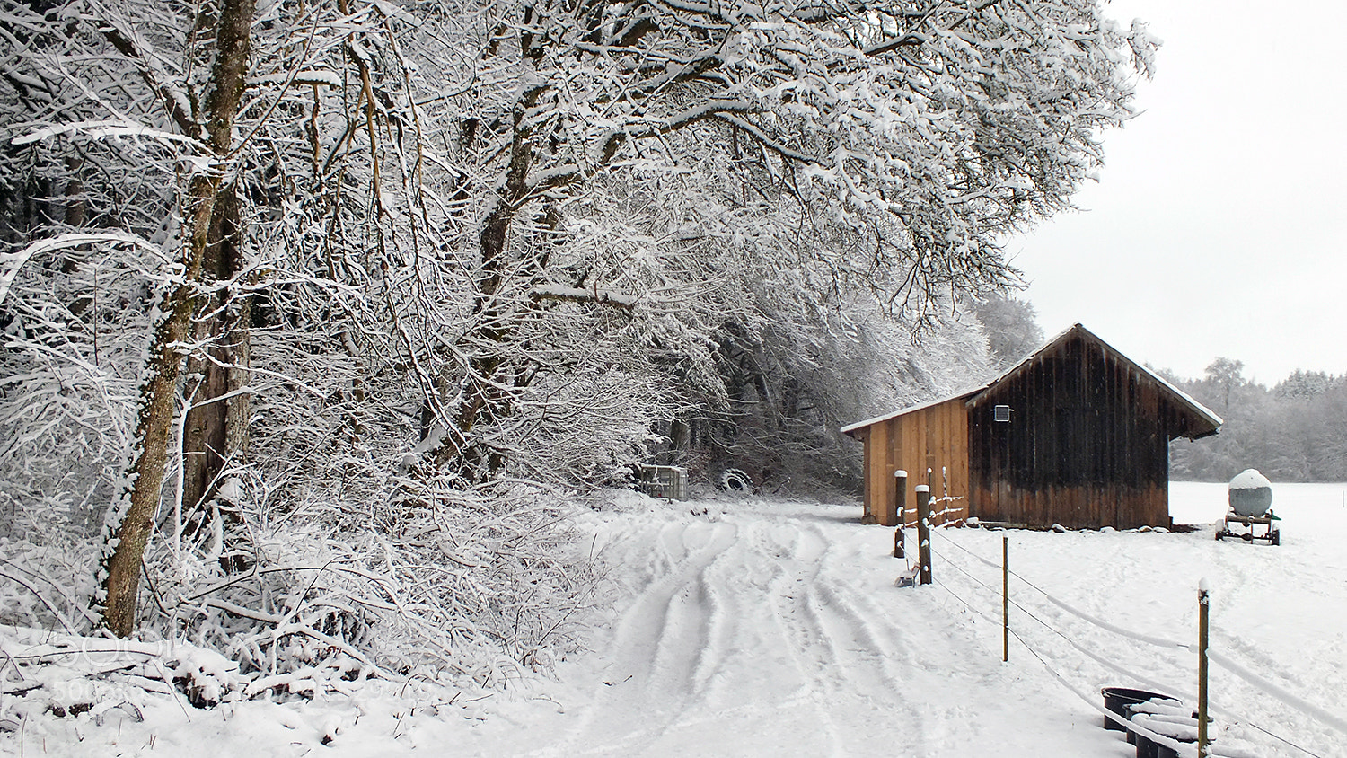 Fujifilm FinePix HS30EXR sample photo. ... marvelous winter moments... photography