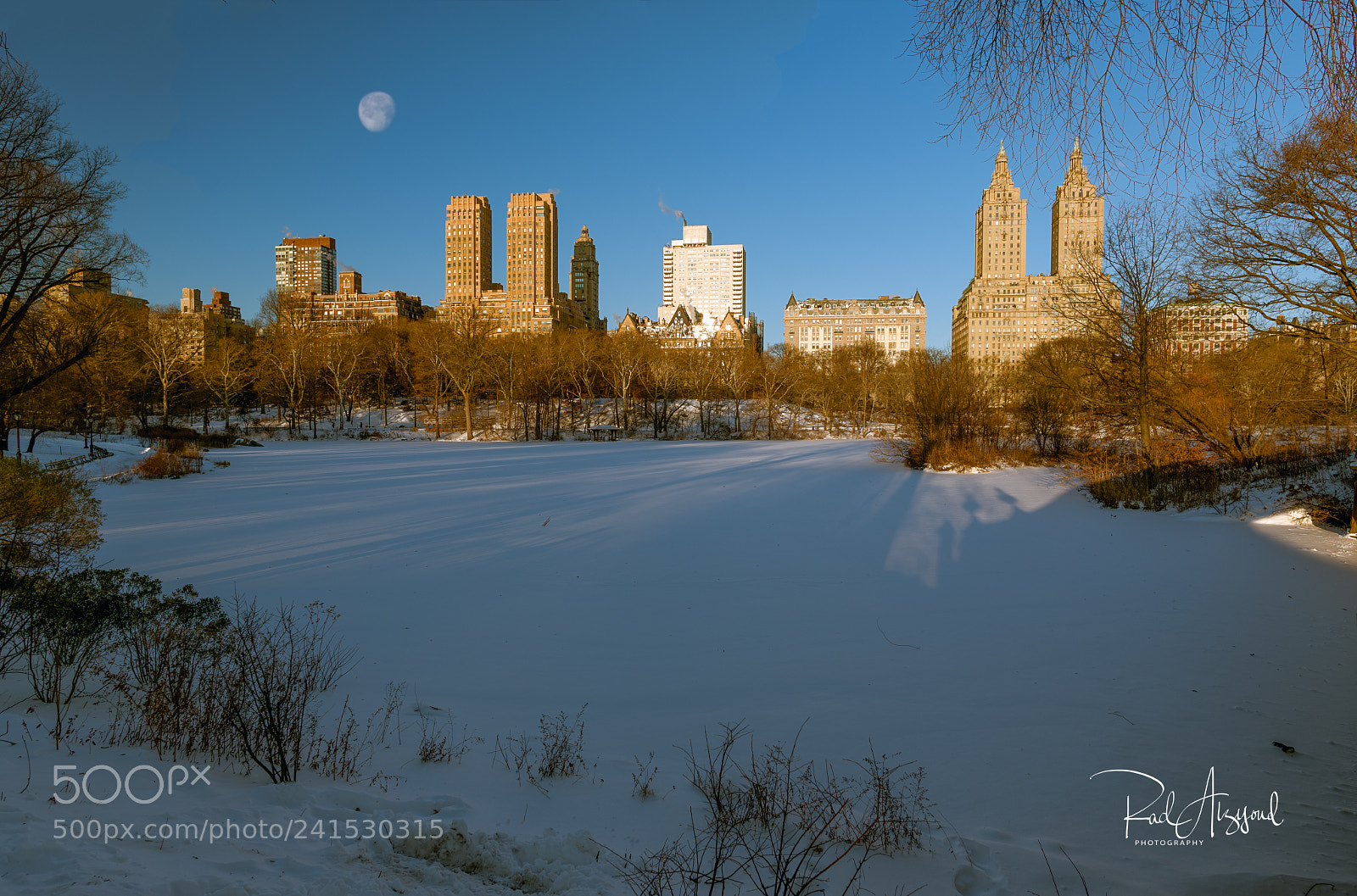 Nikon D850 sample photo. Frozen central park photography
