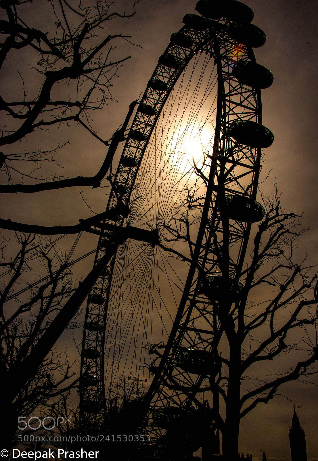 Nikon D800 sample photo. Black eye photography