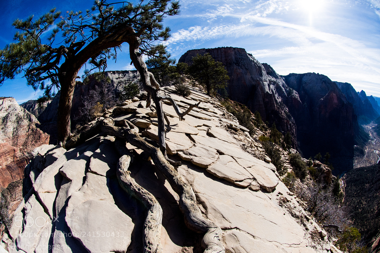 Nikon D7200 sample photo. Ridgeline at 1500' above photography