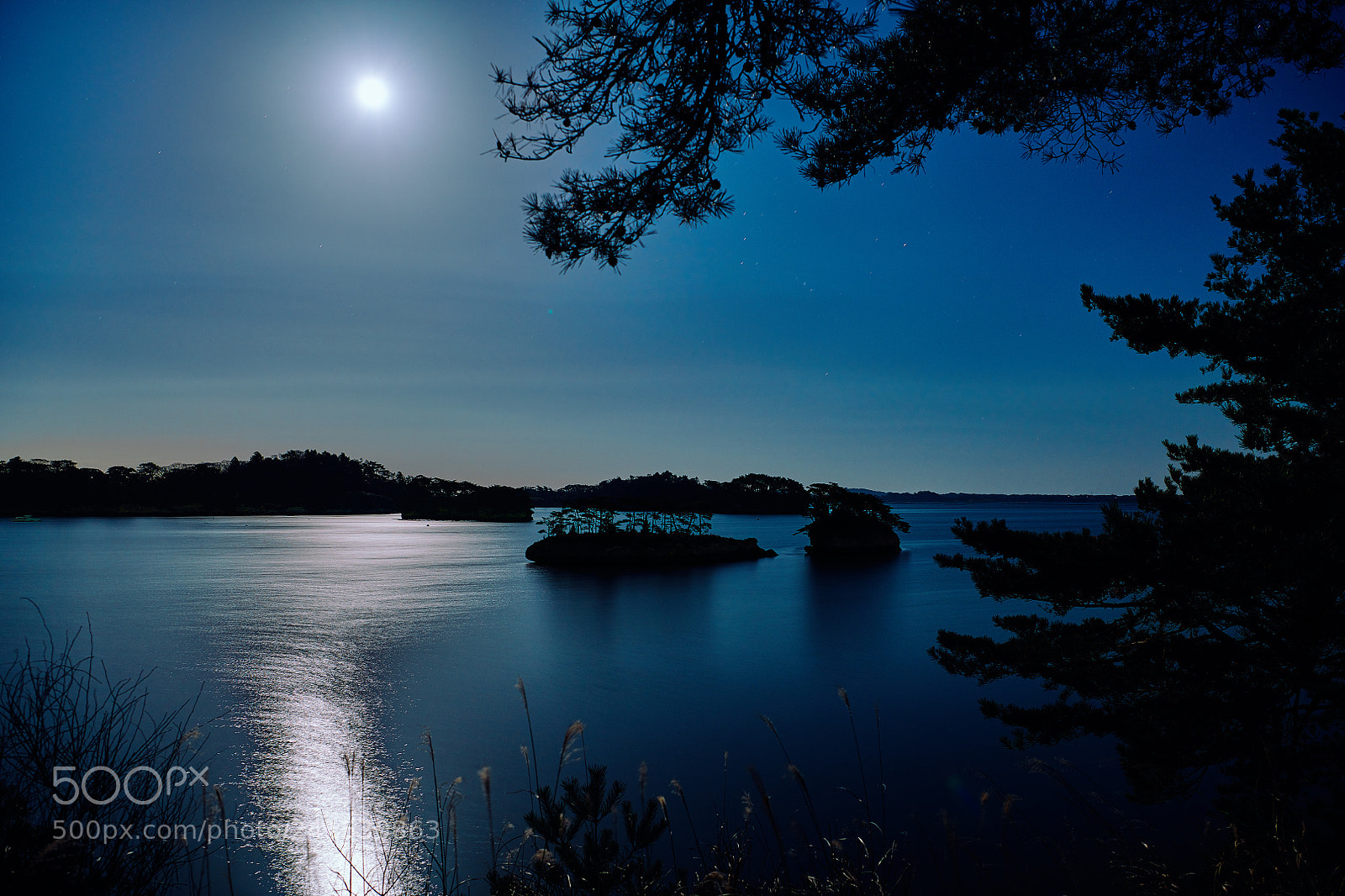 Nikon D850 sample photo. Moonlight photography
