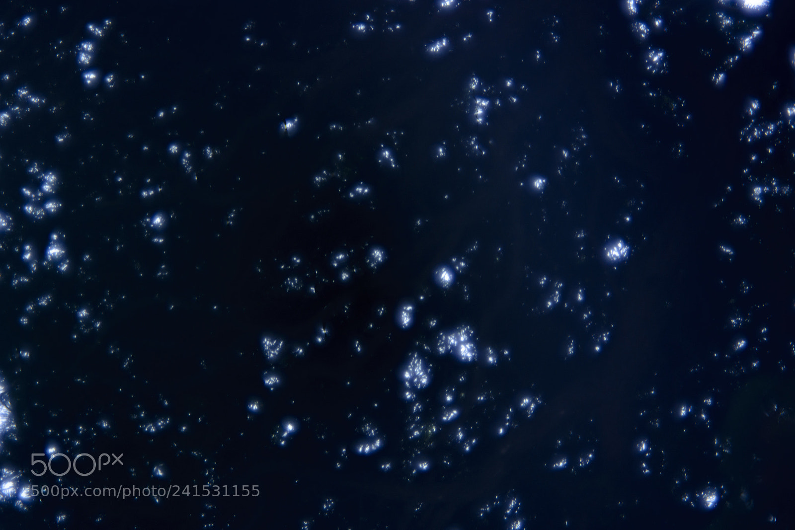 Nikon D7100 sample photo. Hubble tree photography