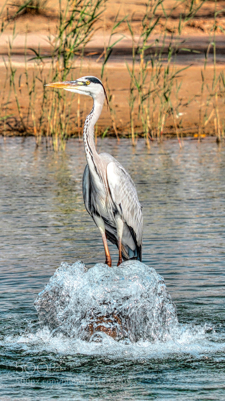 Nikon D90 sample photo. Fantastic photography