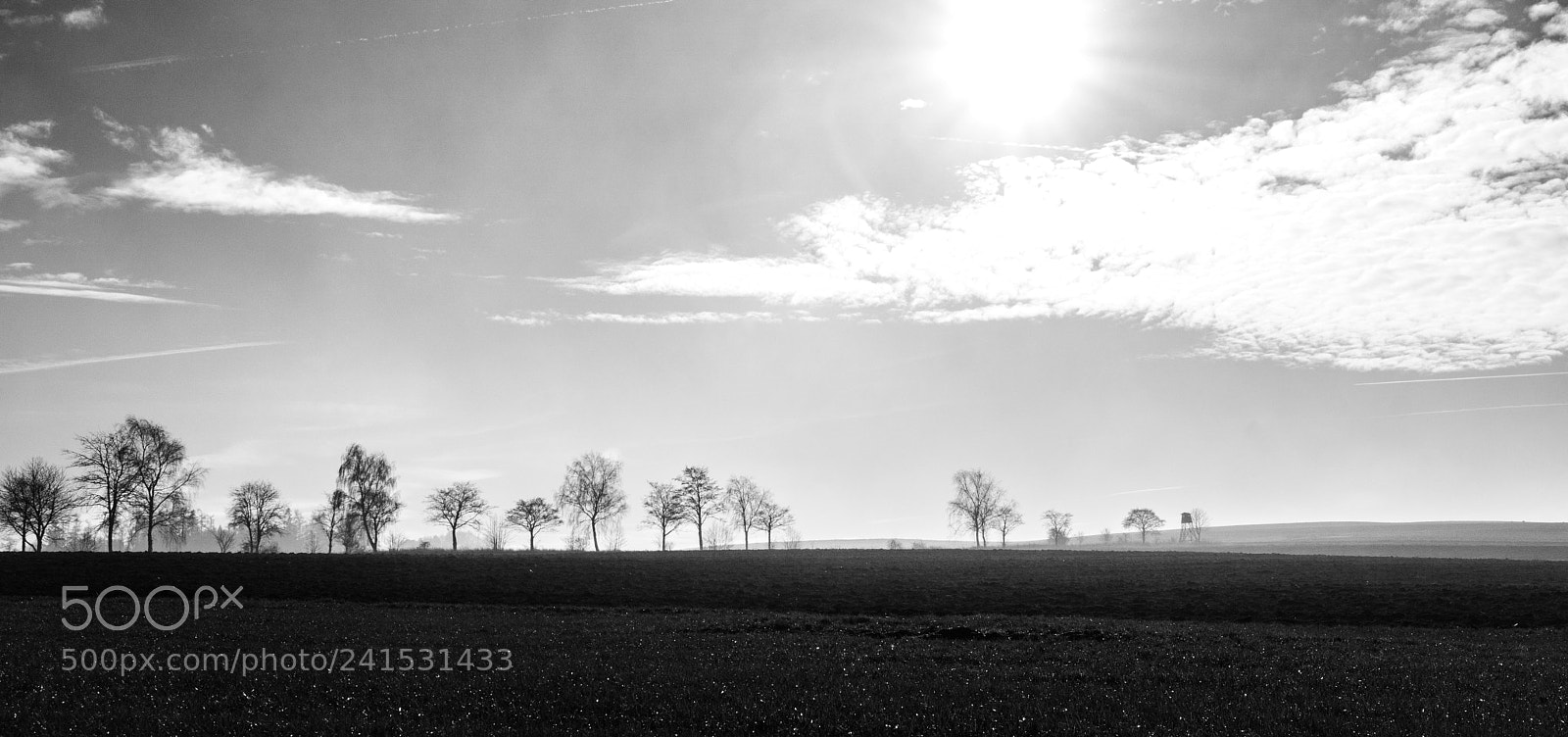 Sony ILCA-77M2 sample photo. Panopama photography