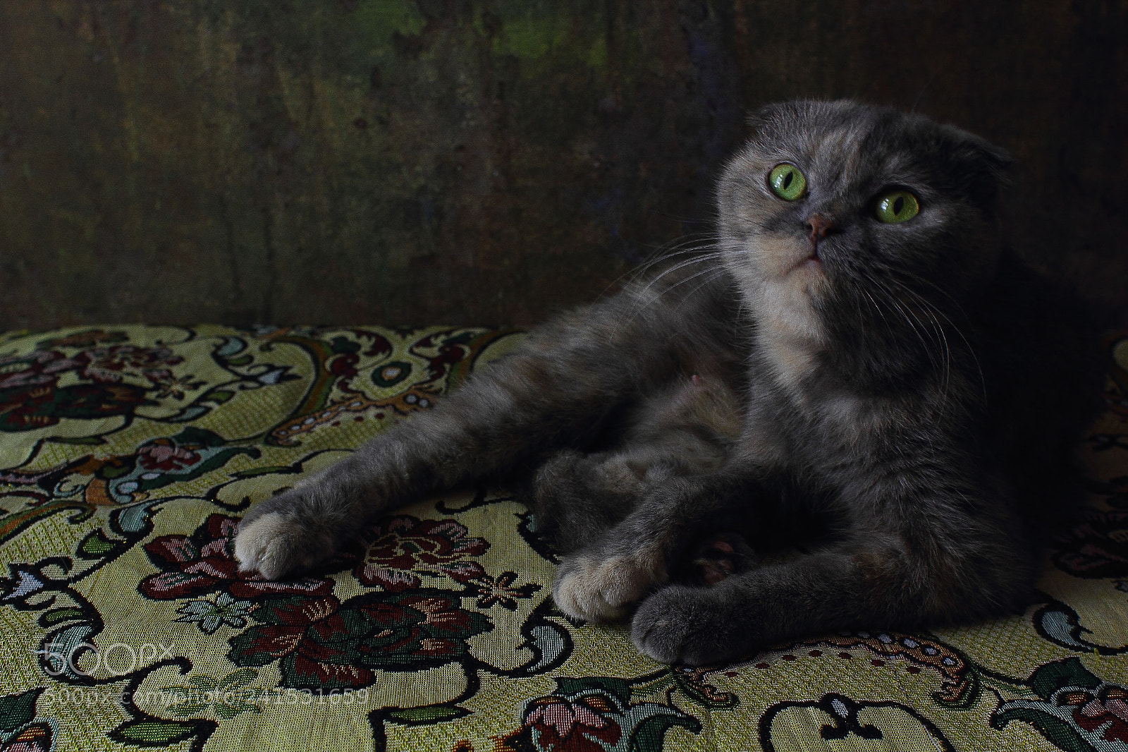 Canon EOS 60D sample photo. Mg photography