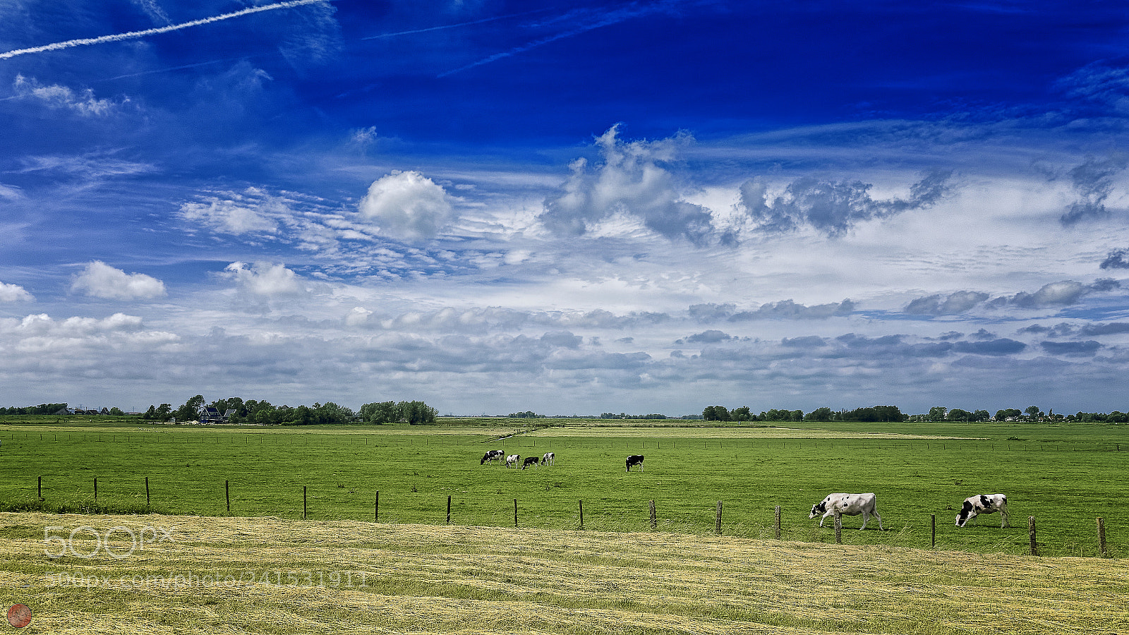 Olympus PEN-F sample photo. Typical dutch photography