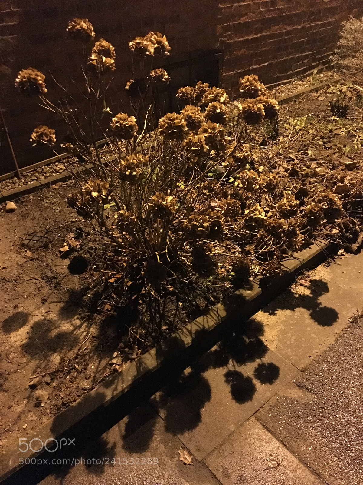 Apple iPhone 6s sample photo. Golden night photography