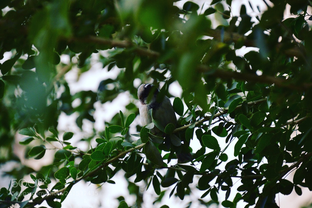 Nikon D3200 sample photo. This is what happens photography