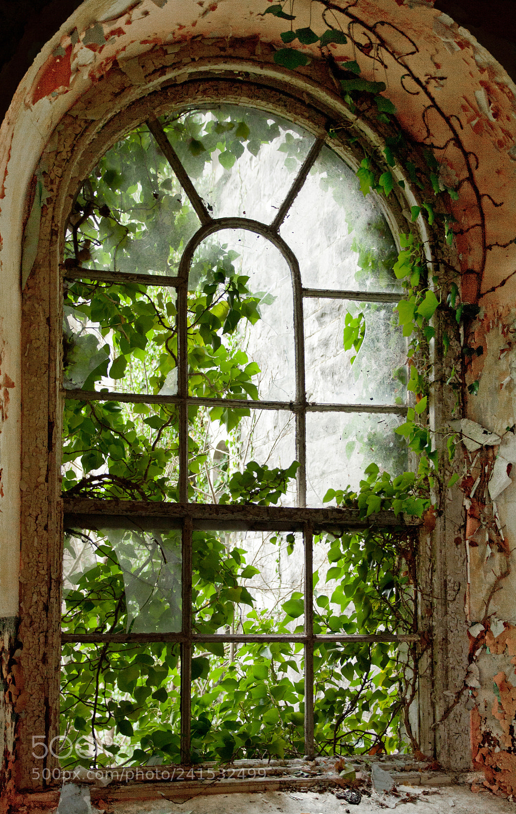 Canon EOS 1000D (EOS Digital Rebel XS / EOS Kiss F) sample photo. The old hospital 3 photography