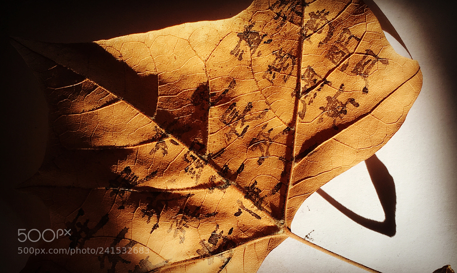 Apple iPhone 6s sample photo. 秦时明月2 photography