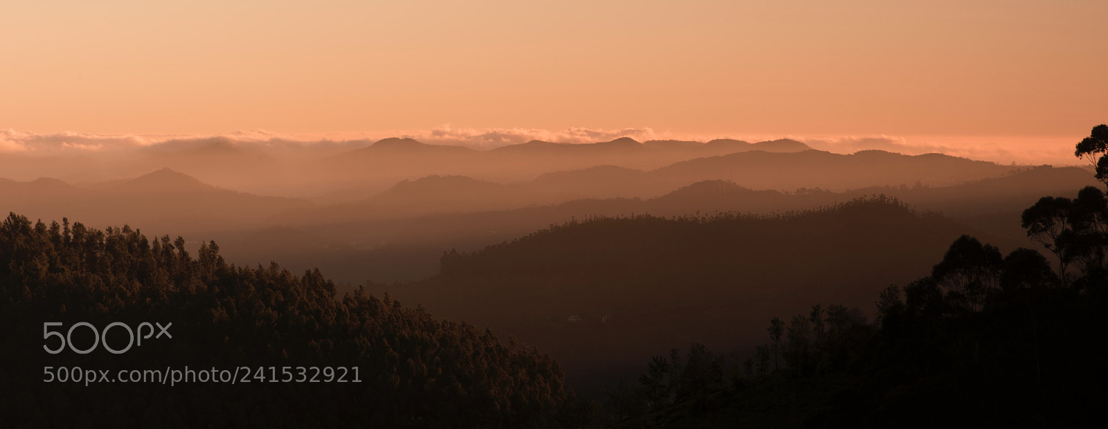 Nikon D810 sample photo. •morning lights• photography