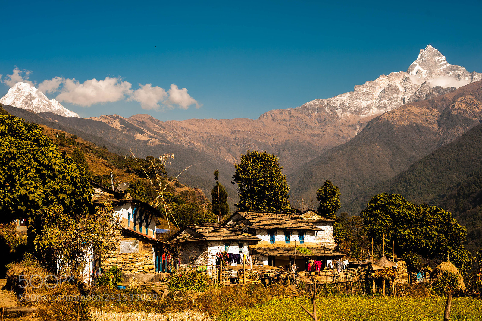 Nikon D700 sample photo. Himalaya vilage photography