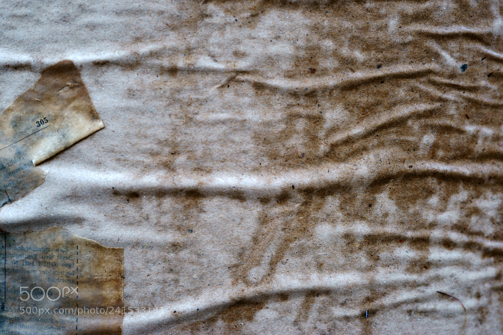 Sony a7 II sample photo. Moist paper photography