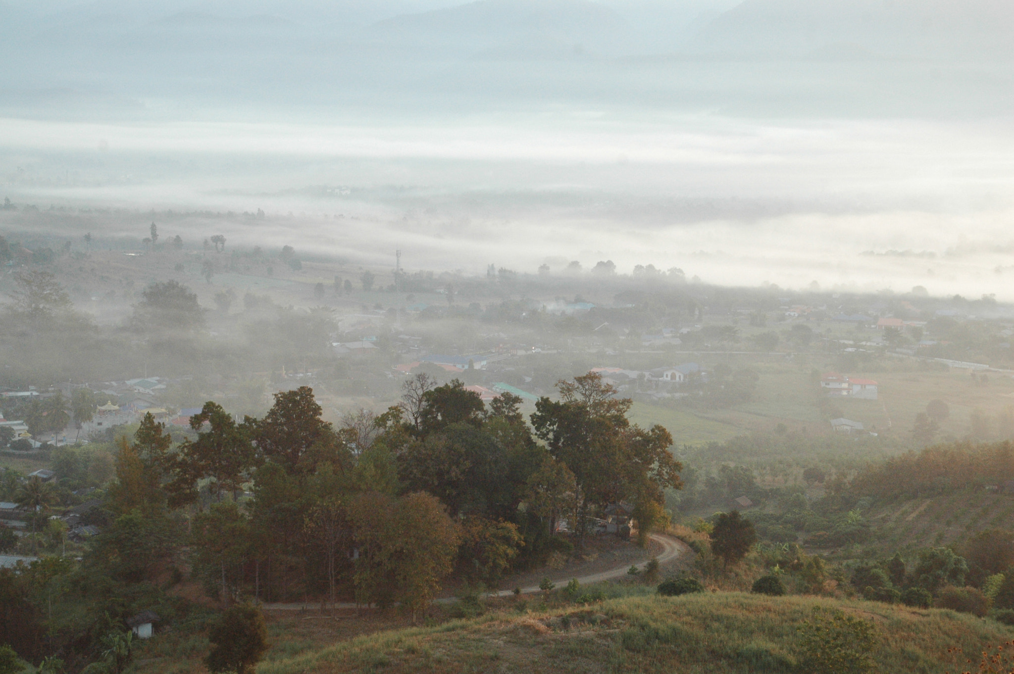 Nikon D70s sample photo. Fog in the morning photography