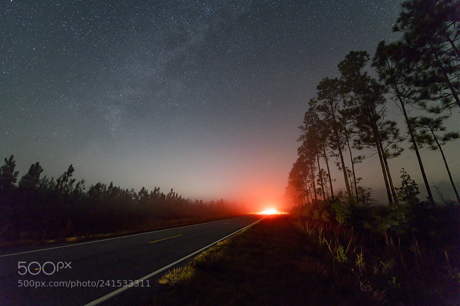 Nikon D850 sample photo. Okefenokee paranormal phenomenon photography